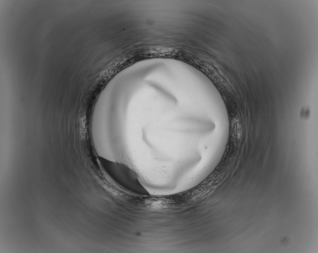 X0000096630564200802261207