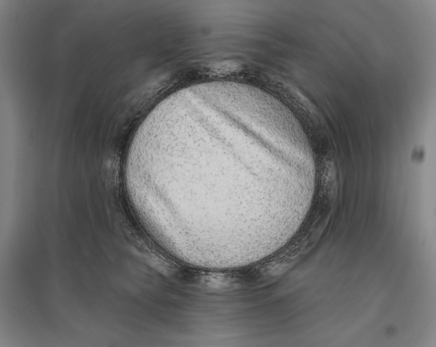 X0000096630565200802261207