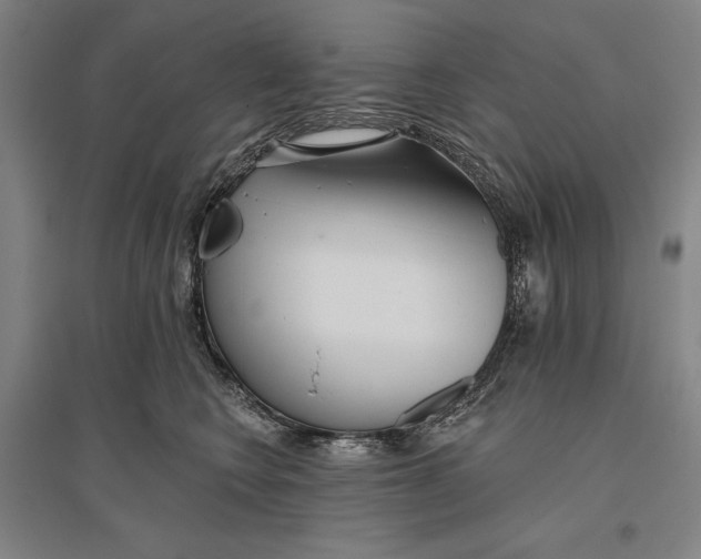 X0000096630566200802261207