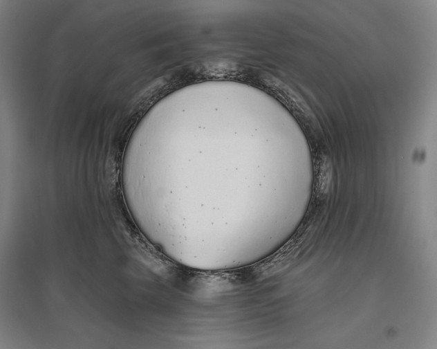 X0000096630569200802261207