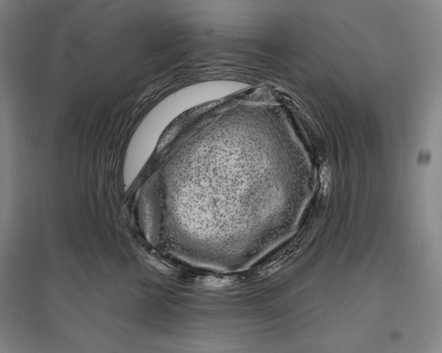 X0000096630570200802261207