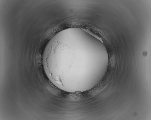 X0000096630571200802261207