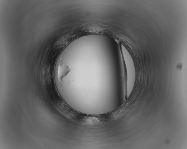 X0000096630572200802261207