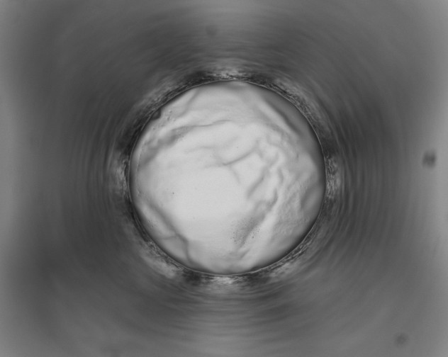 X0000096630573200802261207