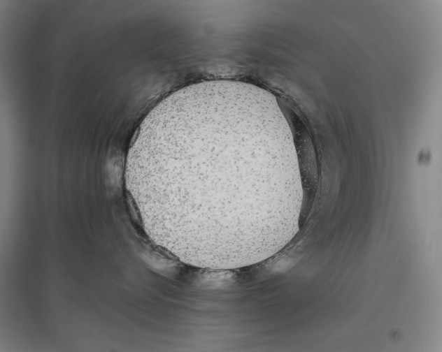 X0000096630576200802261207