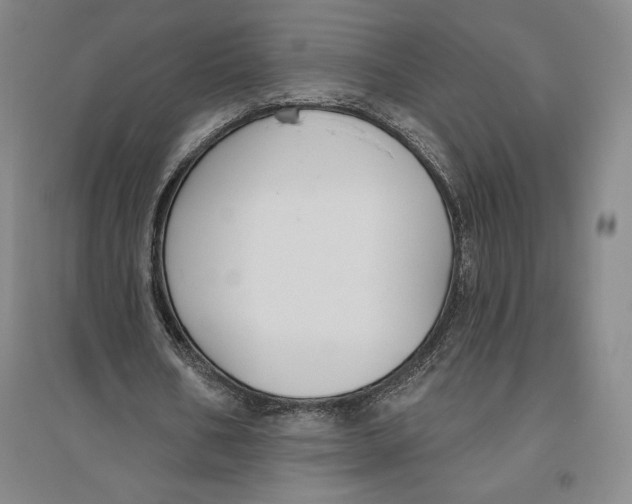 X0000096630578200802261206