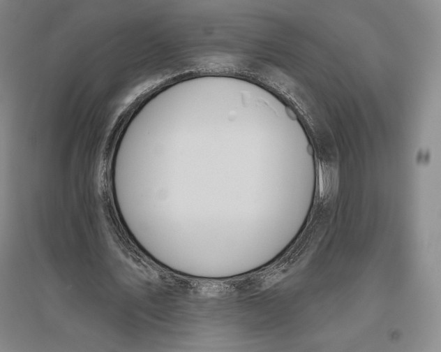 X0000096630579200802261206