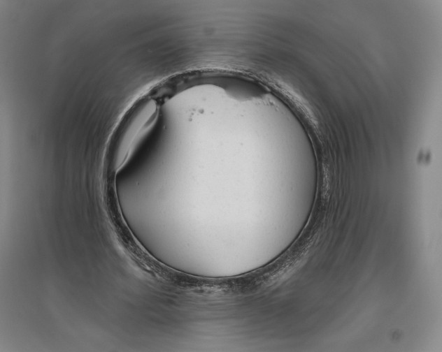 X0000096630580200802261206