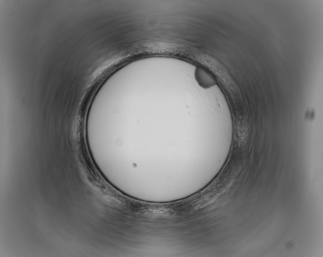 X0000096630583200802261206