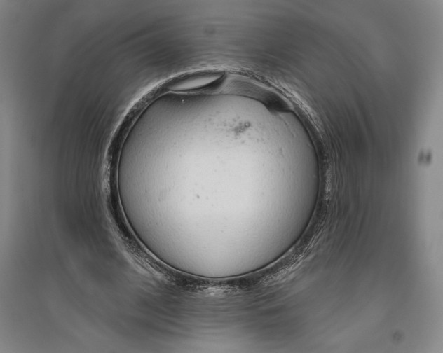 X0000096630584200802261206