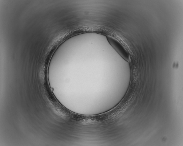 X0000096630586200802261206