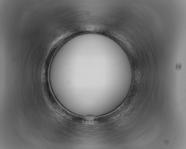 X0000096630587200802261206