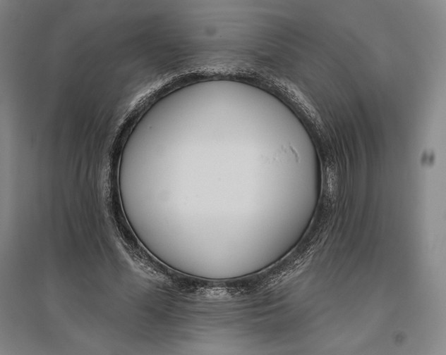 X0000096630588200802261206