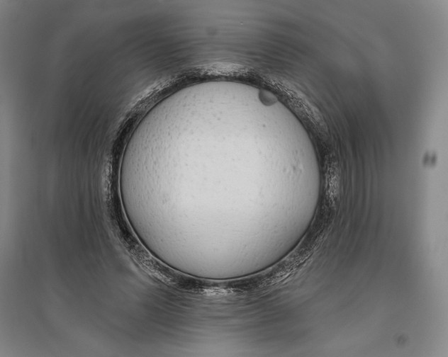 X0000096630591200802261206