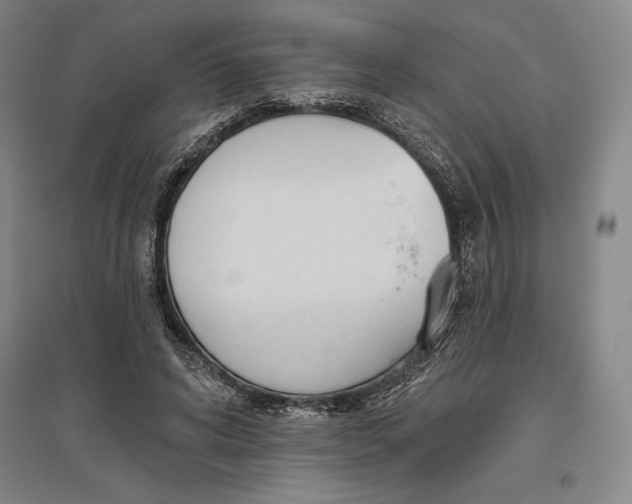 X0000096630592200802261206