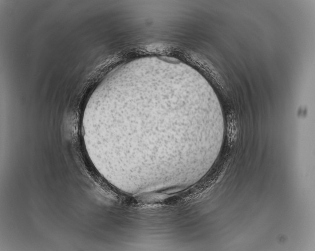 X0000096630593200802261206