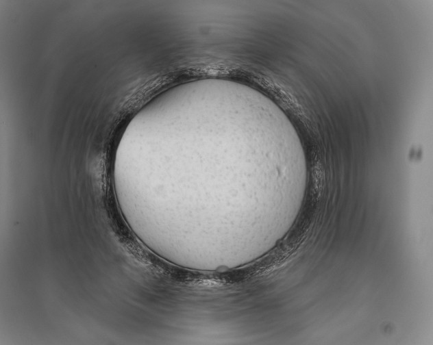 X0000096630594200802261206