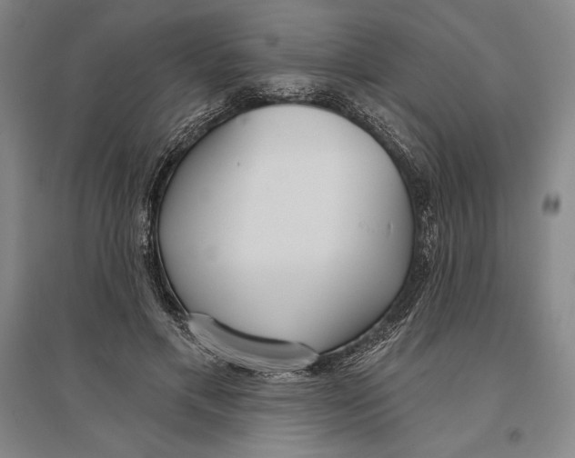 X0000096630597200802261206