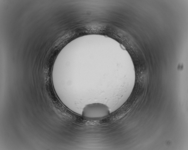 X0000096630599200802261206