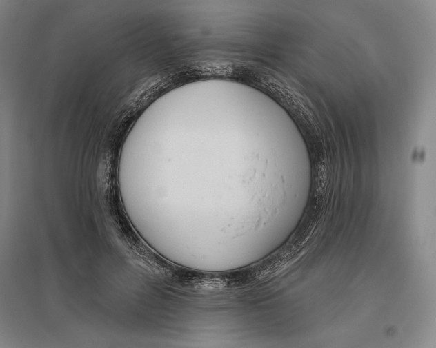 X0000096630600200802261206