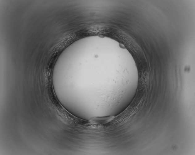 X0000096630601200802261206