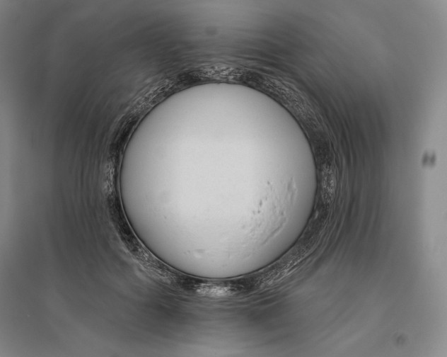 X0000096630602200802261206