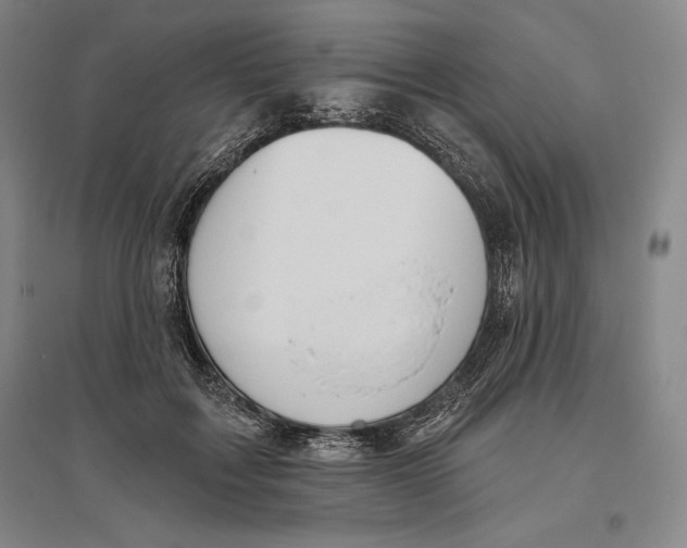 X0000096630603200802261206