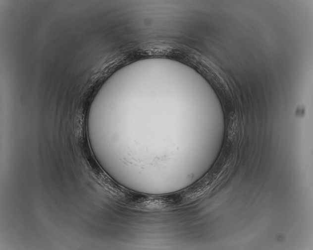 X0000096630604200802261206