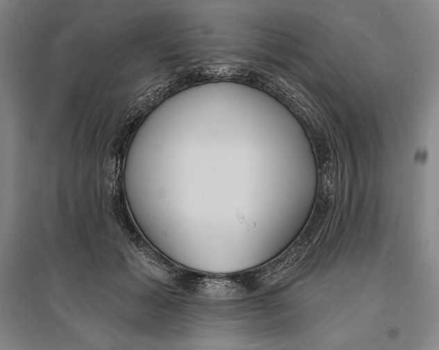 X0000096630605200802261206