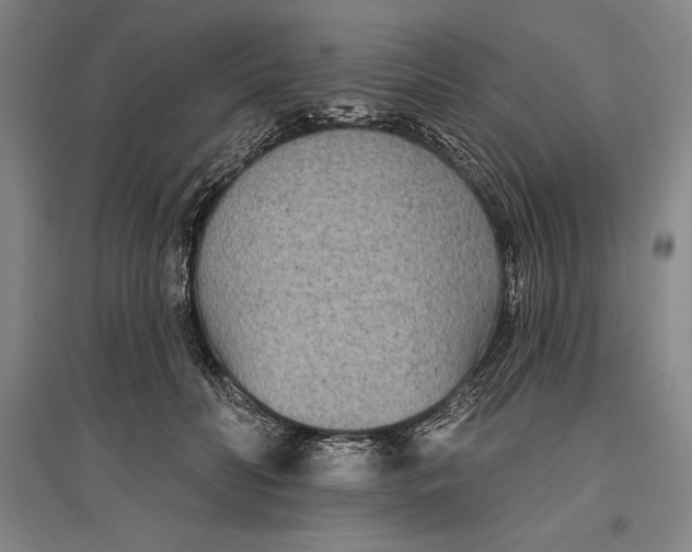 X0000096630606200802261206