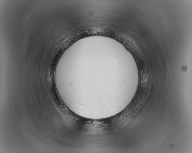 X0000096630607200802261206