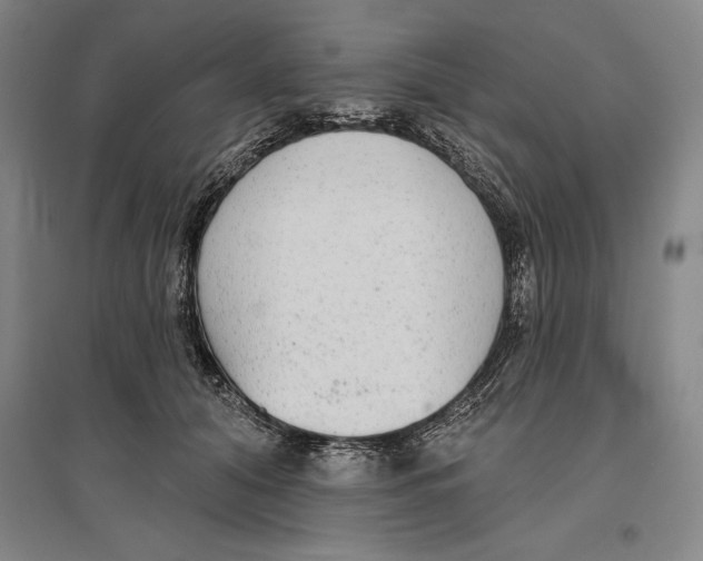 X0000096630608200802261206