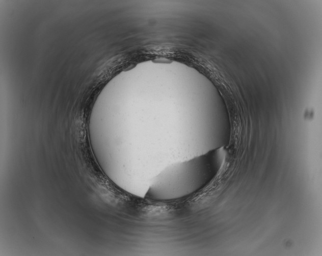 X0000096630609200802261206