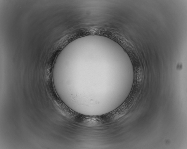 X0000096630611200802261206