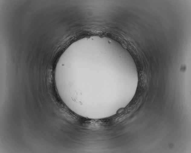 X0000096630612200802261206