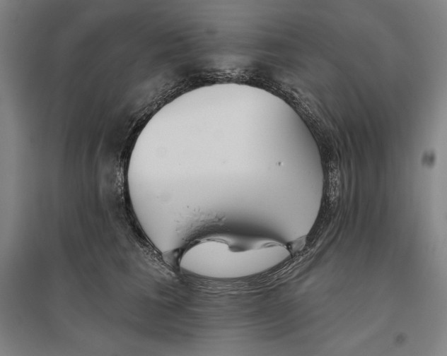 X0000096630613200802261206