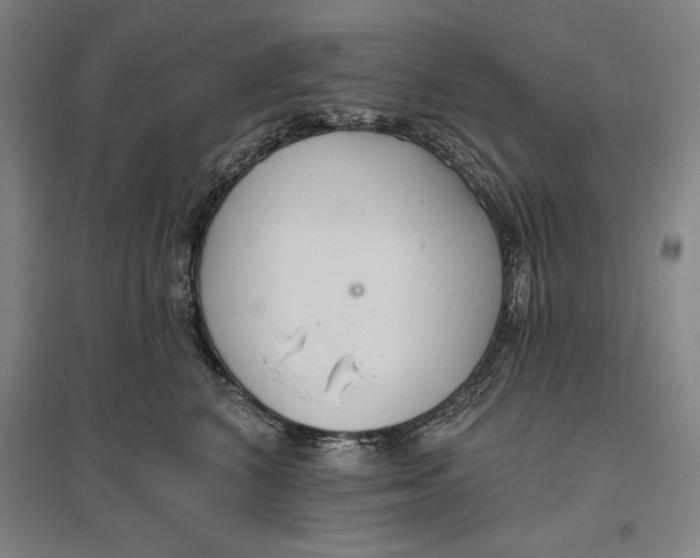 X0000096630616200802261206