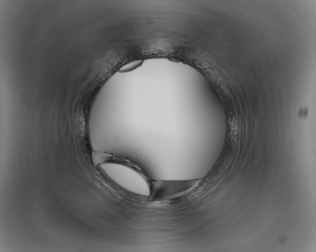 X0000096630617200802261206