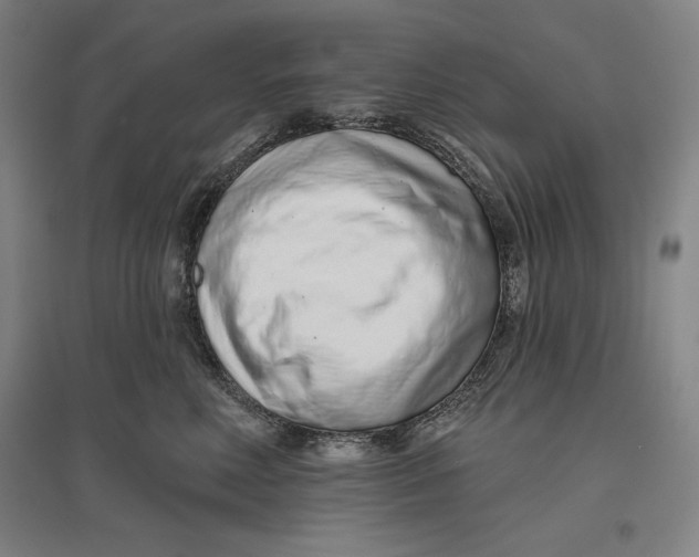 X0000096630618200802261206