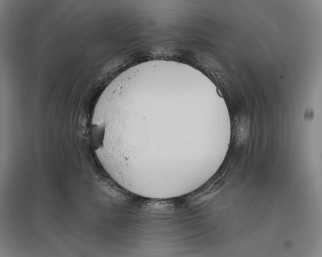 X0000096630619200802261206