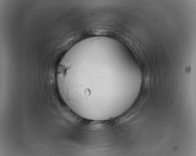 X0000096630620200802261206