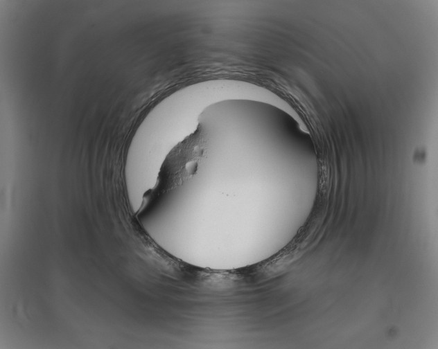 X0000096630621200802261206