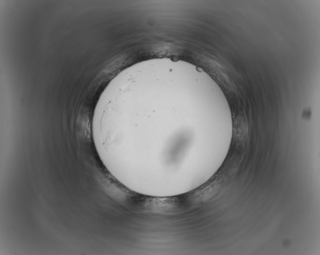 X0000096630622200802261206