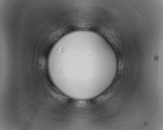 X0000096630623200802261206