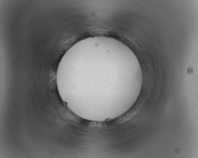 X0000096630624200802261206