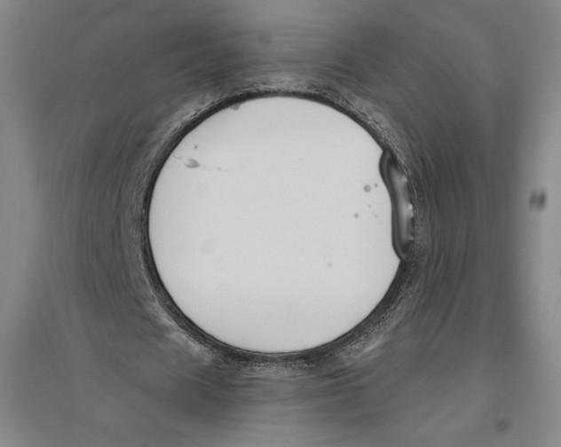 X0000096630625200802261205