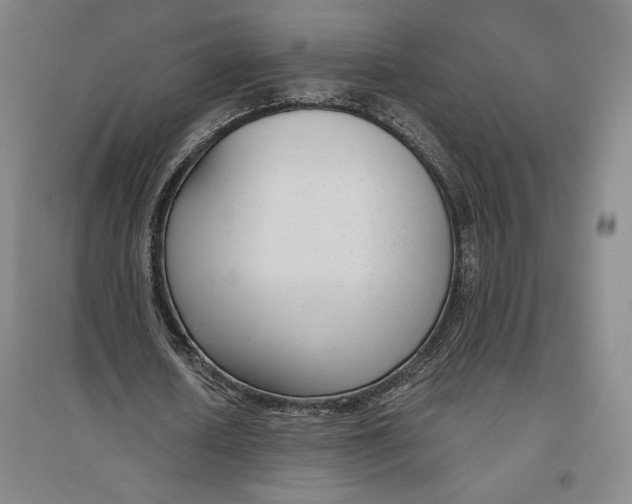 X0000096630626200802261205