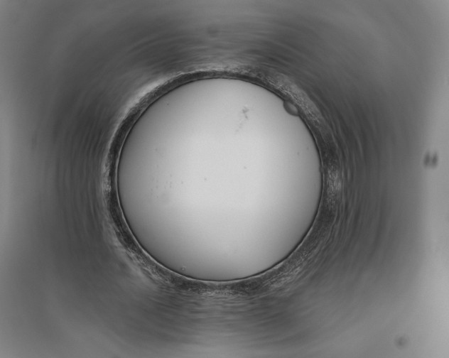 X0000096630628200802261205