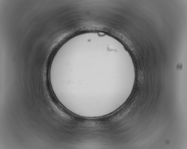 X0000096630629200802261205