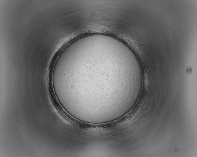 X0000096630630200802261205